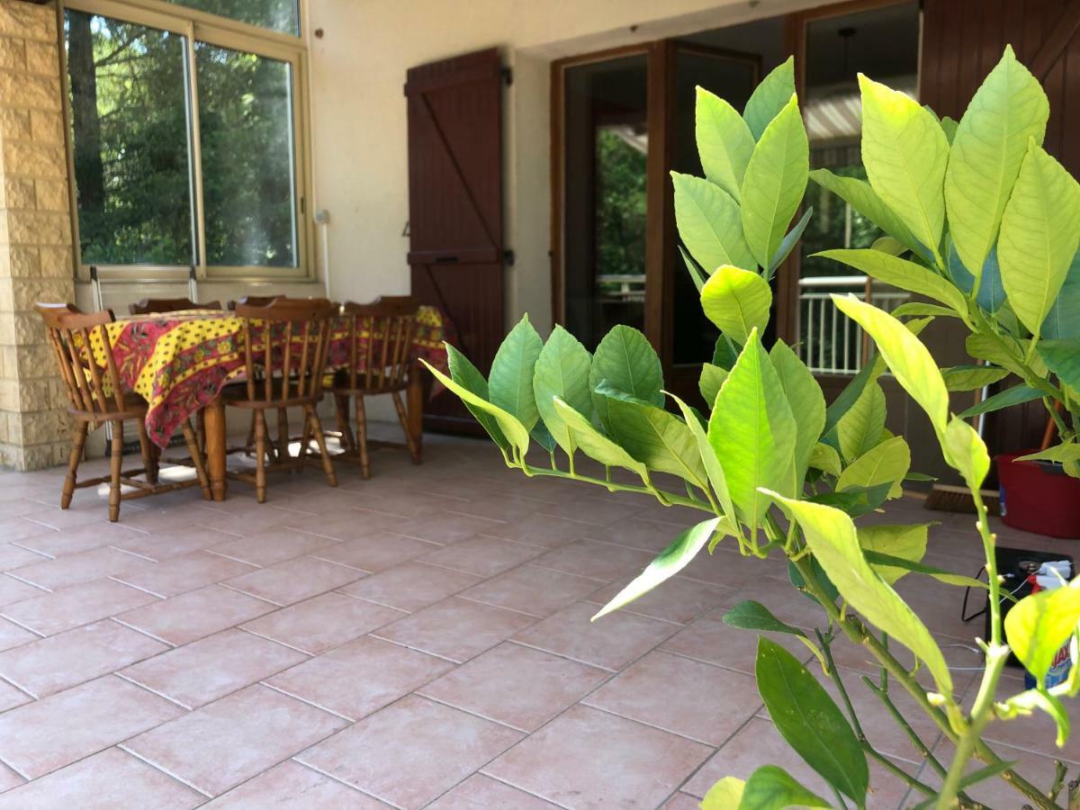 Maison D'En Face Salavas Ngoại thất bức ảnh